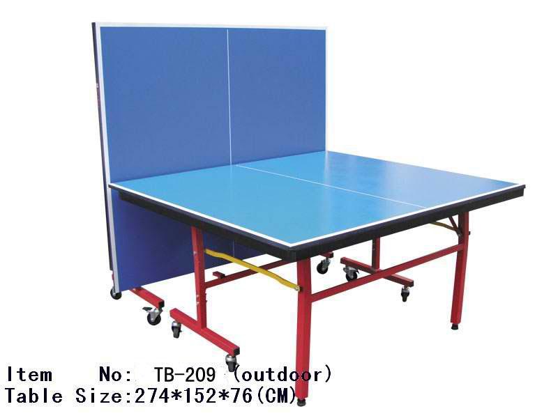 Tennis Table