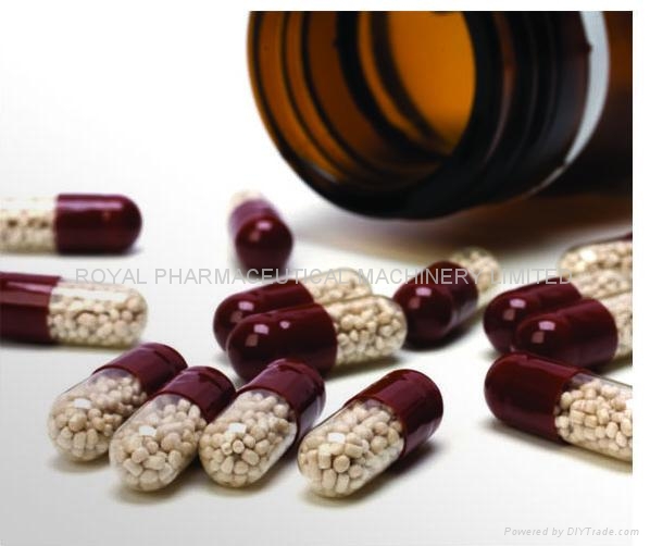 NJP-1200 Fully Automatic Capsule Filling Mac