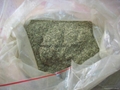 貓薄荷