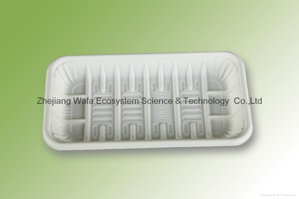 disposable trays