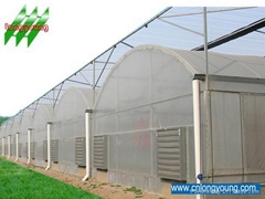 CN LongYoung Greenhouse Company Limited