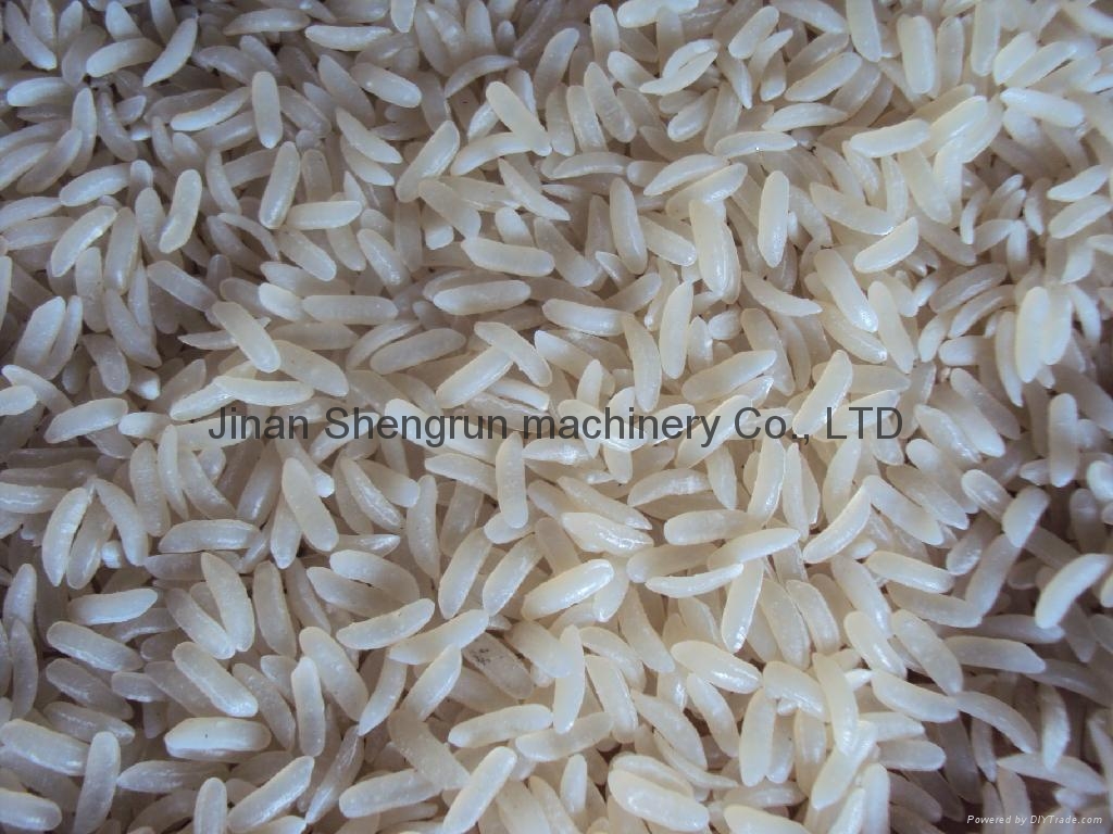 营养大米加工设备\/人造大米生产线 - TSE85-R