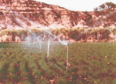 Sprinkler Irrigation System