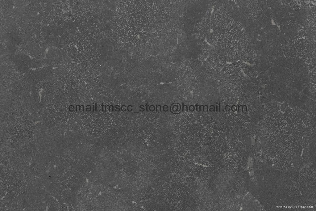 Bluestone Tiles