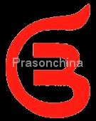 Shenzhen Prason Technology Co.,Ltd Shenzhen Prason Technology Co.,Ltd