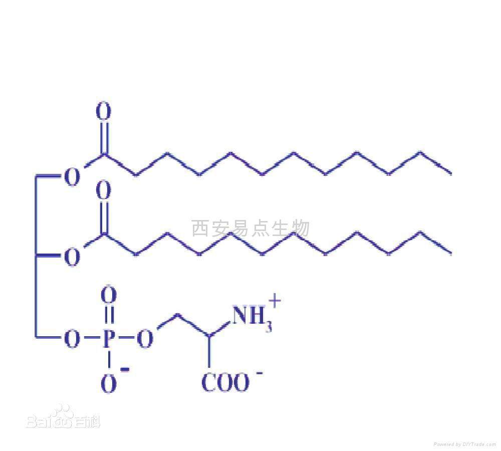 磷脂酰丝氨酸结构式