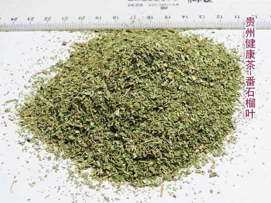 番石榴叶 芭乐叶 鸡矢茶 Guava Leaf - 活力树 (