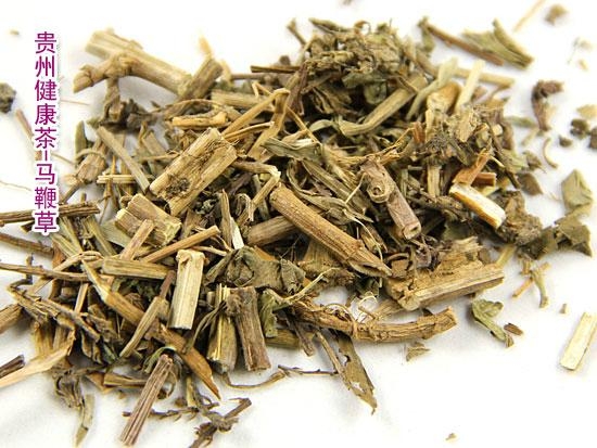 马鞭草 龙芽草 野荆芥 verbena