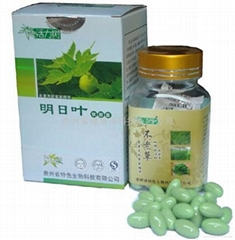 贵州省健康茶科技有限公司 贵州省健康茶科技有限公司