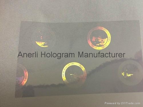 Florida+ID+Hologram Florida id hologram - an10 - FL (China Manufacturer) - Label & Tag ...