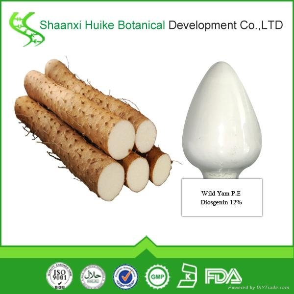 Wild Yam Extract - SXHK (China Manufacturer)