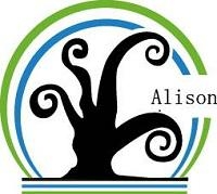 Guangdong Alison Hi-Tech Co.Ltd Guangdong Alison Hi-Tech Co.Ltd