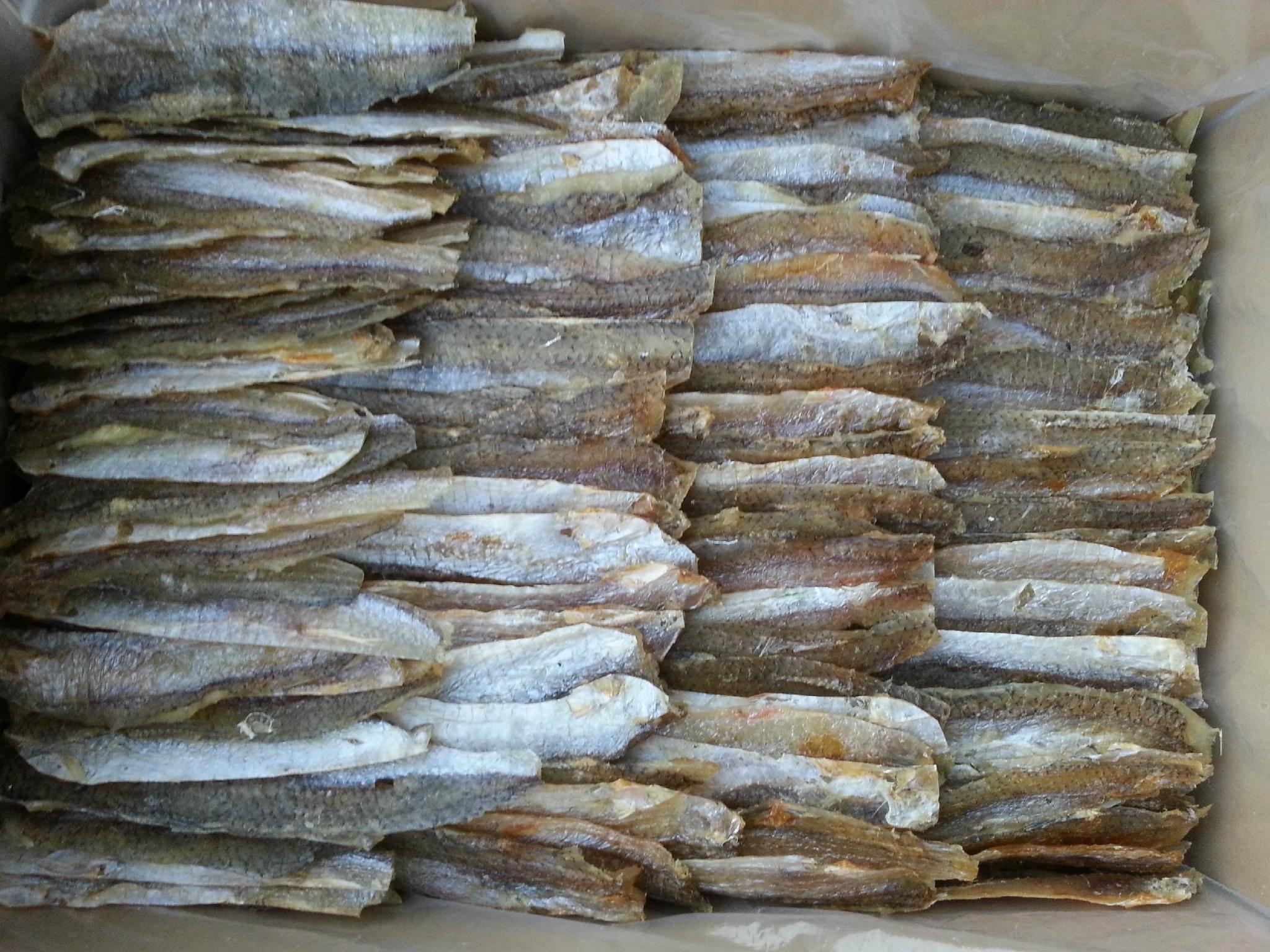 Dried seasoned Lizard fish fillet ( no salted and salted) 1