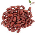 origin chat help kidney origin chat help kidney