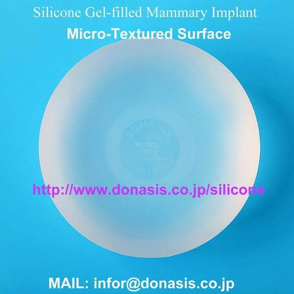 Silicone Gel Filled Implant 37