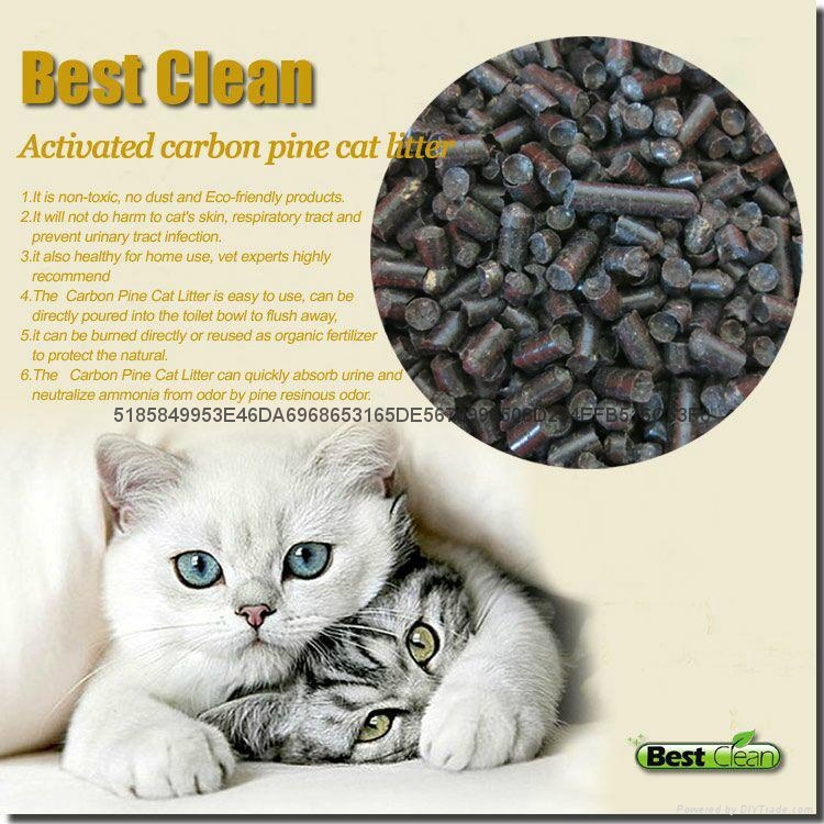 Respiratory Infection From Cat Litter Respiratory Infection From Cat Litter