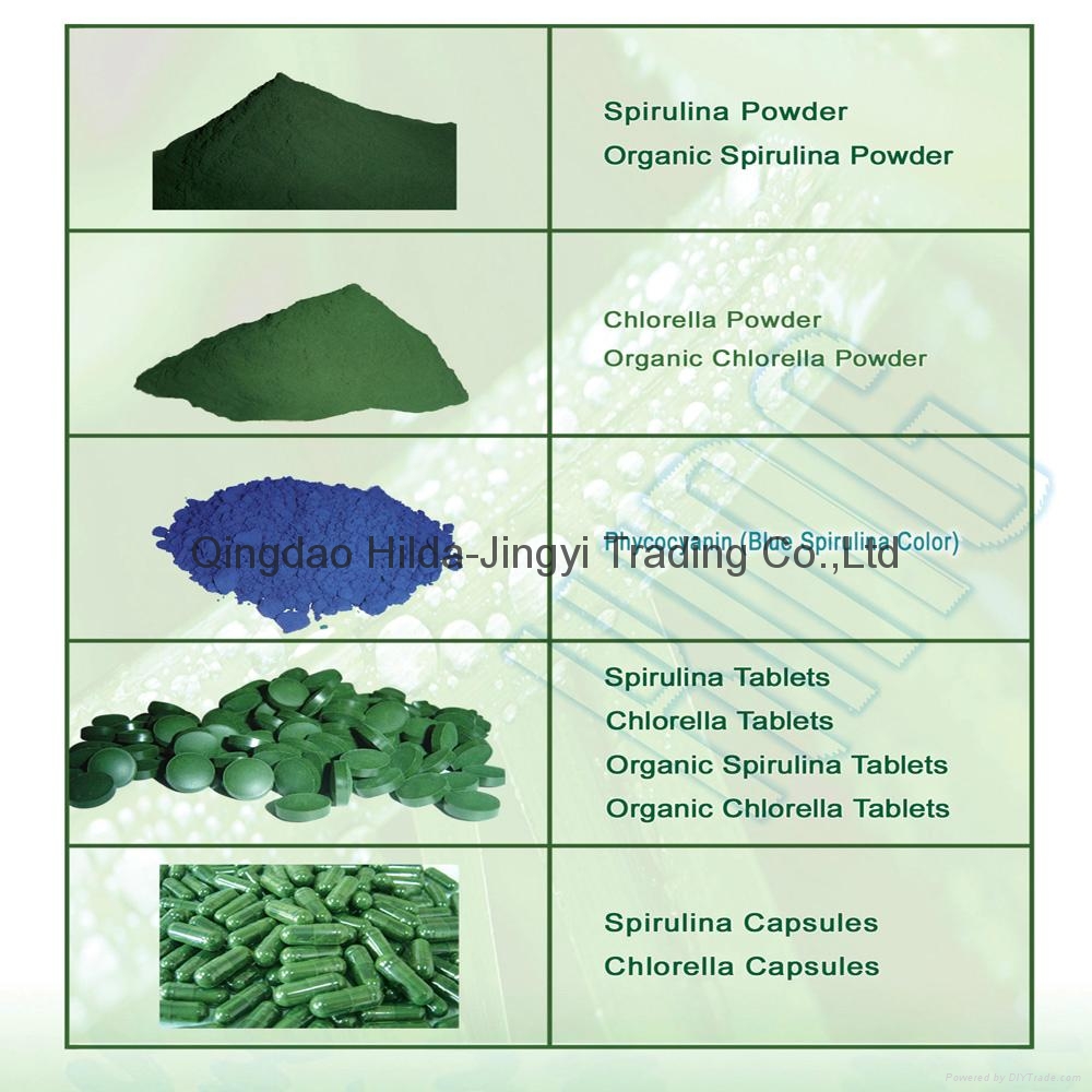 Spirulina polysaccharide (China Trading Company) Plant Extract