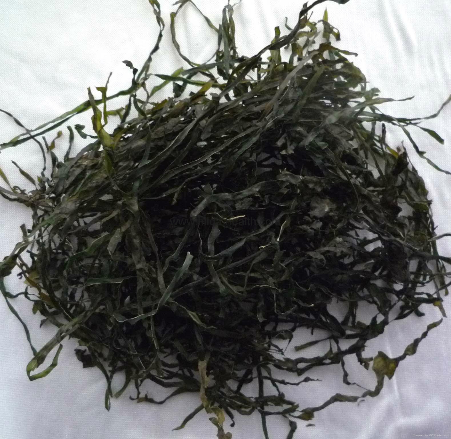2017 Dried cut kelp(laminaria,sea tangle,seaweed) SW001 QDHJ