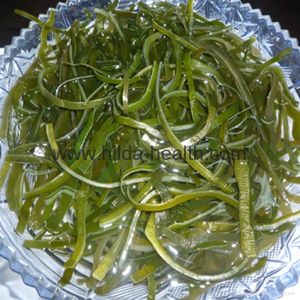2016 Dried cut kelp(laminaria,sea tangle,seaweed) SW001 QDHJ