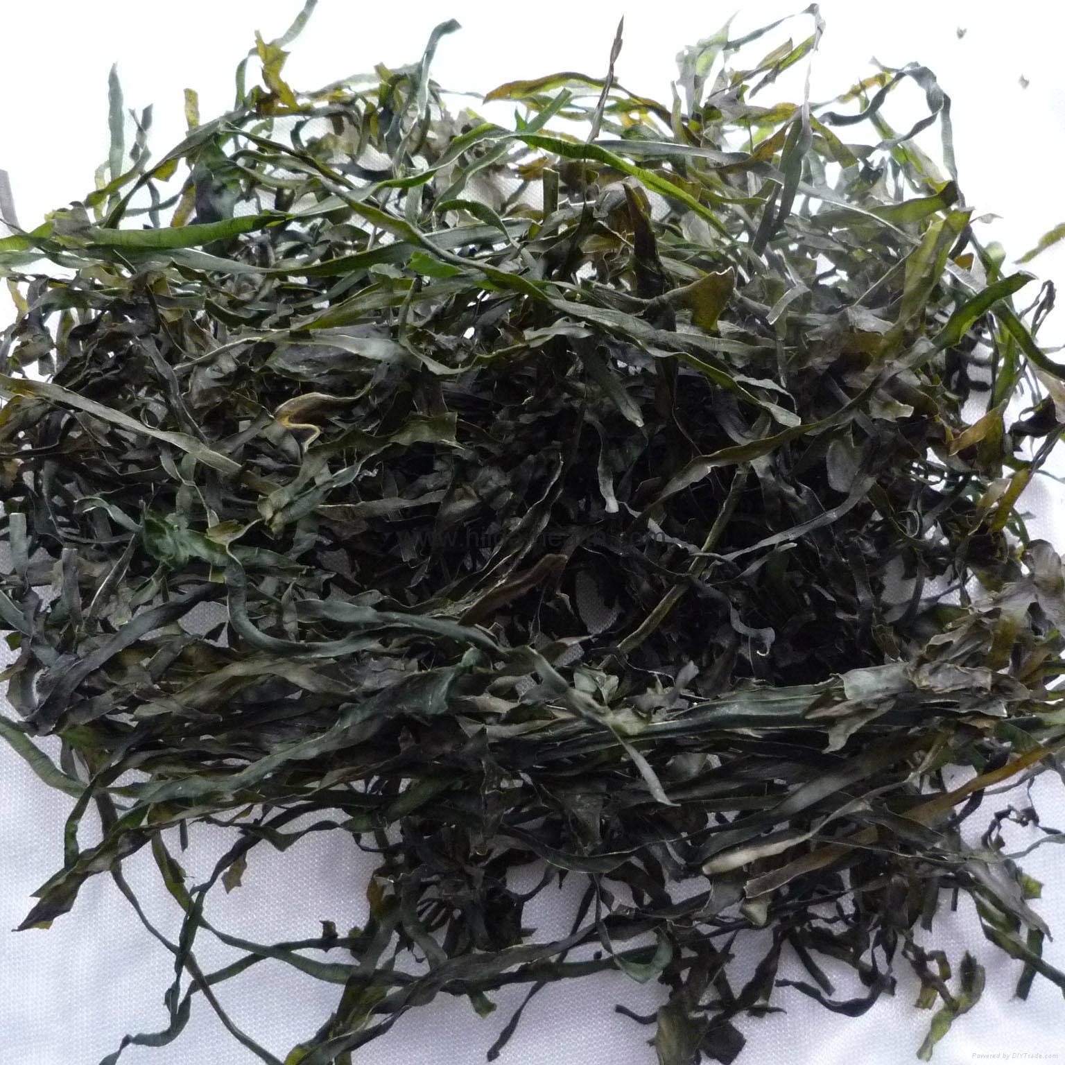 2017 Dried cut kelp(laminaria,sea tangle,seaweed) SW001 QDHJ