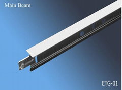 Main Beam