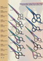 Professional Barber Scissors 1