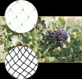 Agricultural  Nets 2