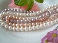 freshwater pearls 1