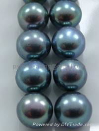 AAA freshwater button pearl 3