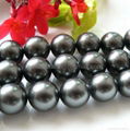 Perfect round shell pearl strands of