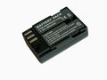 digital camera battery  1