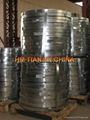 Galvanized Steel Strips 1