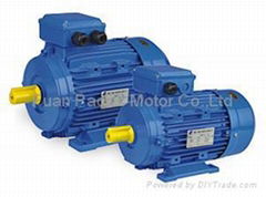 MS series three-phase asynchronous motor