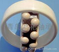 Full ceramic(All-ceramic) bearing of