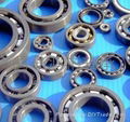 Full ceramic(All-ceramic) bearing of