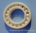 Full ceramic(All-ceramic) bearing of