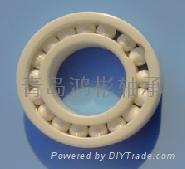 Full ceramic(All-ceramic) bearing of