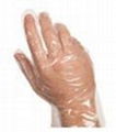 Polyethylene Gloves