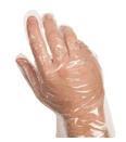 Polyethylene Gloves