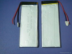 Li-polymer battery