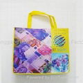 Nonwoven gift bag 2