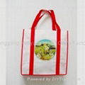 Nonwoven gift bag 3