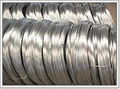 Electro Galvanized Iron Wire 1