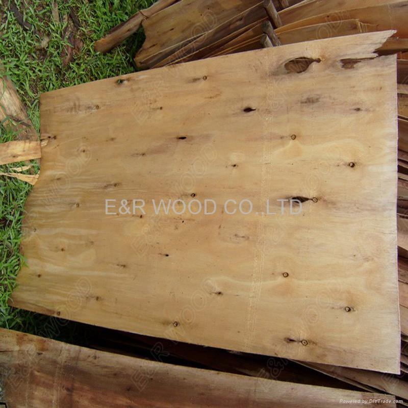 Eucalyptus Core Veneer 3