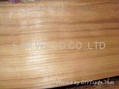 Burma Teak (wet veneer)