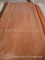 MLH veneer