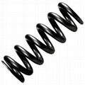 Coil Spring 1