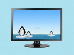 22 inch display