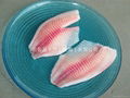 tilapia fillet  1