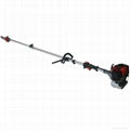 Pole Chain Saw 1